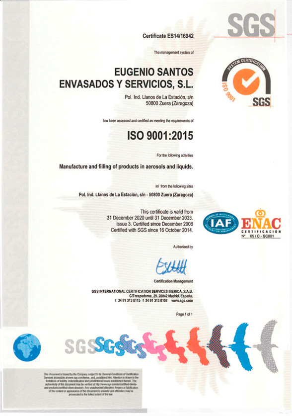 ISO 9001 English