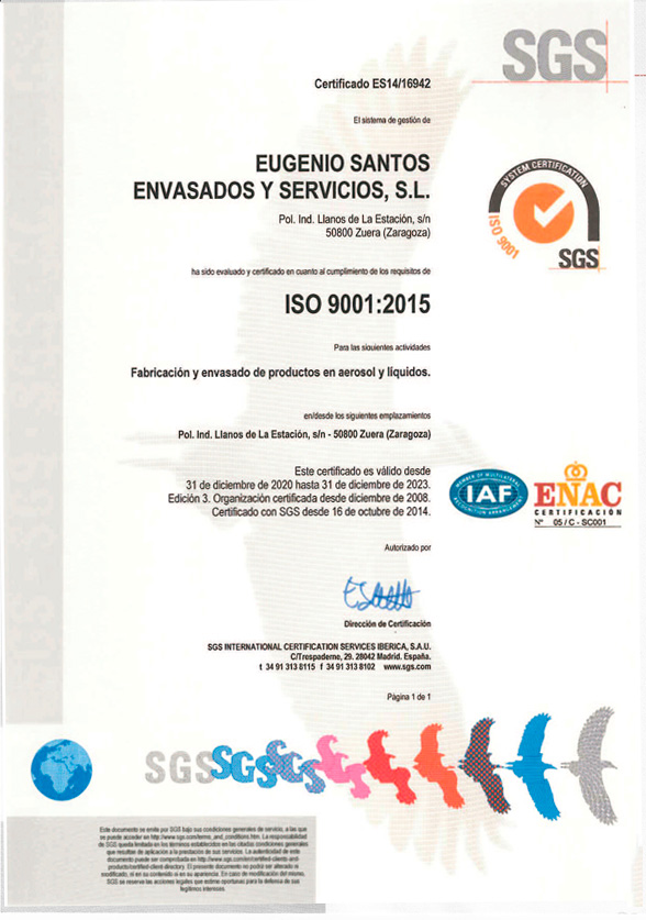 ISO 9001 en Español